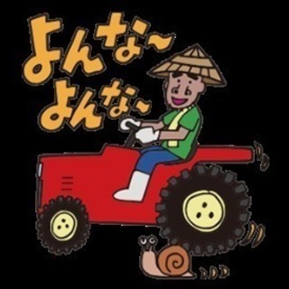 ホンダライフディーバターボの画像