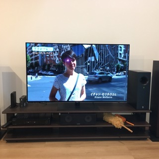 パナソニック　VIERA TH-55FZ950　有機EL 55イ...