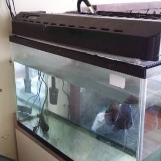 600水槽セット