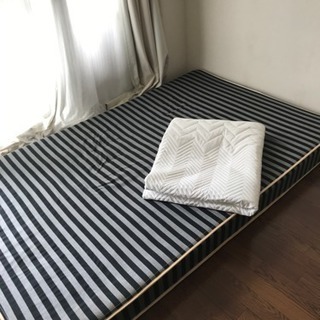 セミダブルです