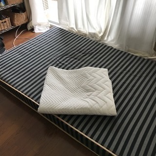 セミダブルですの画像