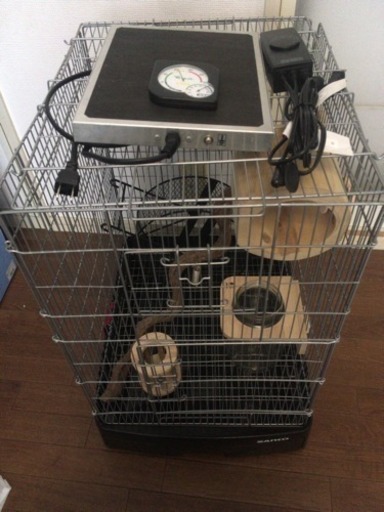 デグー飼育セット イージーホーム40ハイ