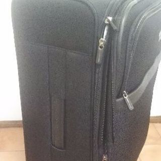 Delsey デルセー ソフトスーツケースの画像