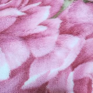 西川　カールマイヤー毛布の画像