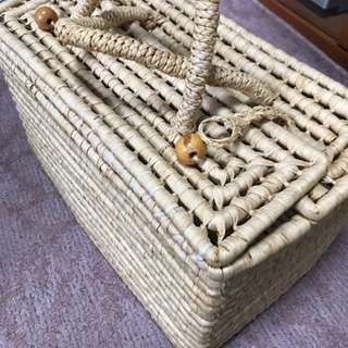 エコロジーバック 大