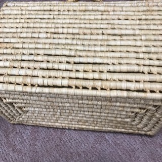 エコロジーバック 大の画像