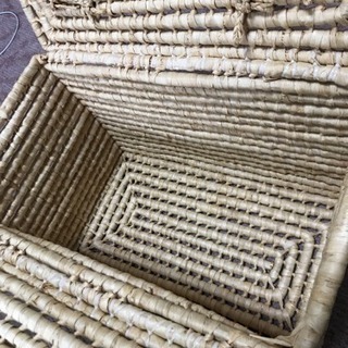 エコロジーバック 大の画像