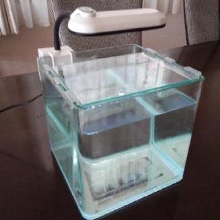 20サイズ水槽とLEDライト　(コトブキ　LEGLASS フレー...