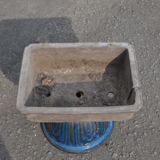 平鉢(サツキで使用)⑧