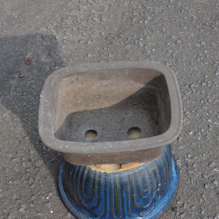 さつき鉢で使用