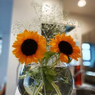 ガラス製フラワーベース　花瓶　インテリアに♪