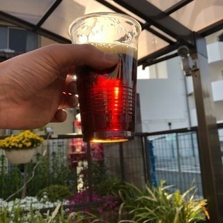 ５月2日庭の花と星空を見ながらお酒を飲みませんか - 城陽市