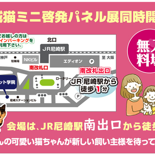 尼崎市どうぶつ愛護推進員◇ねこの譲渡会&ミニ地域猫パネル展(=^・・^=) - 展示会