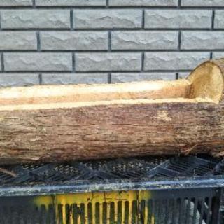 癒やしの丸太。ログプランター（横型）。茨城県潮来市。の画像