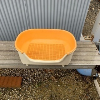猫のトイレの画像