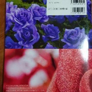 蜷川実花 写真集 「永遠の花」の画像