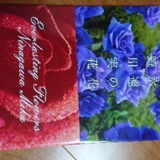 蜷川実花 写真集 「永遠の花」の画像