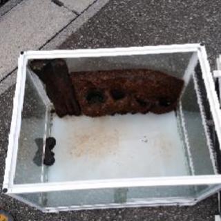 (取引中のため返信遅れます)大型ガラス水槽　爬虫類、両生類用 の画像