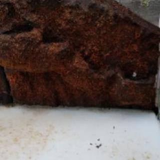 (取引中のため返信遅れます)大型ガラス水槽　爬虫類、両生類用 の画像