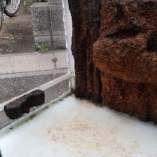 (取引中のため返信遅れます)大型ガラス水槽　爬虫類、両生類用 の画像