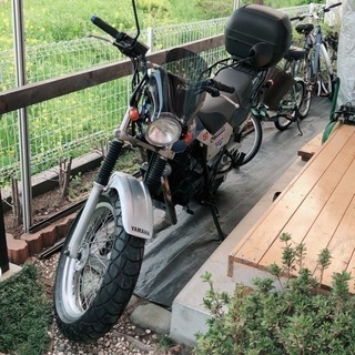 TW200 ほぼノーマル 自賠責保険 33/1まであります 交換可