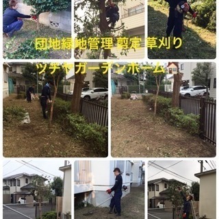 アパート マンション 団地の芝刈り 草刈 剪定ならお任せ下さい。...