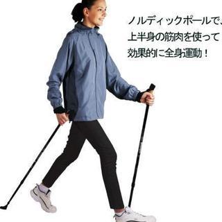 ノルディックポールの画像