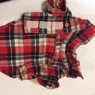 【チワワ用服Lee】5月10日までの画像