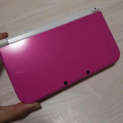 その他 3DS LL