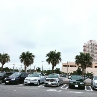 okinawa vw owners club メンバー募集 - 中頭郡