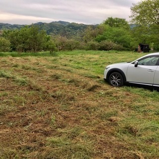 🌈 【農業体験】週末の気分転換に美味しい空気を味わおう🍓の画像