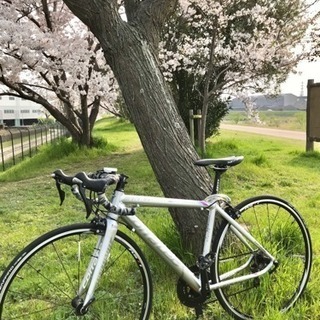 ロードバイクーコラテック