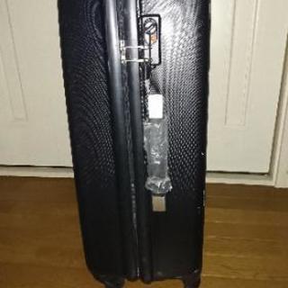 無印良品 スーツケースの画像