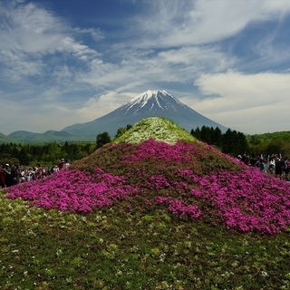 写真サークルメンバー募集中 - 足立区