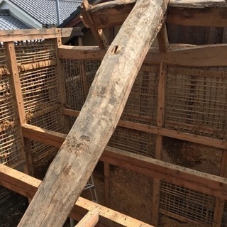 丸太、薪などにどうですか？