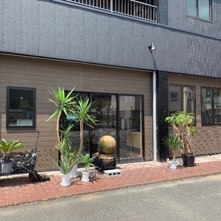 平日カフェ&バー  運営スタッフ募集‼️