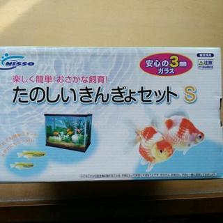 小さい水槽(現在、取り引き中です)
