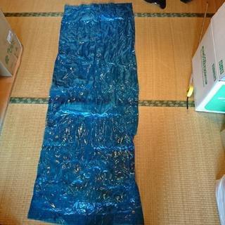 エア―ベッド青(海水浴)