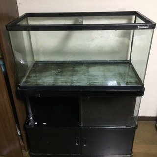 水槽90センチと専用水槽台のセット