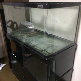 水槽90センチと専用水槽台のセットの画像