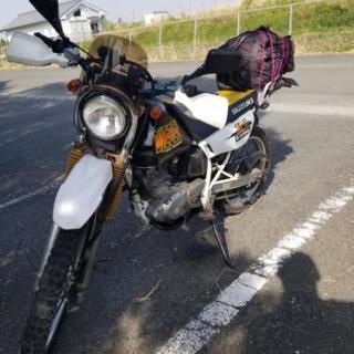 本日限り。DJEBEL200