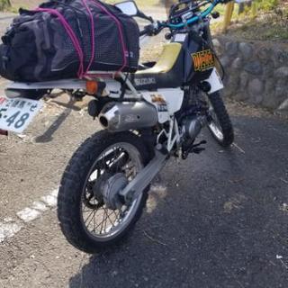 本日限り。DJEBEL200の画像
