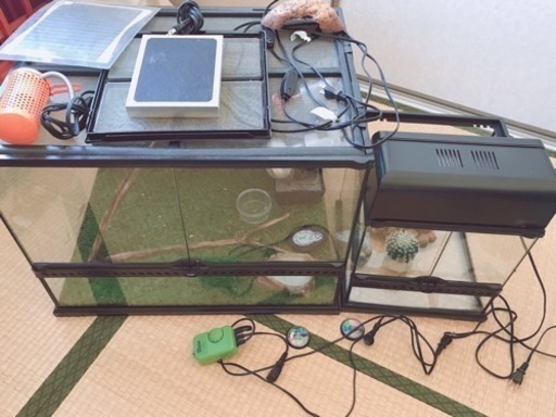 爬虫類用ケージ フルセット