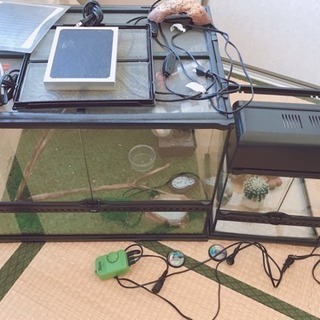 爬虫類用ケージ フルセット