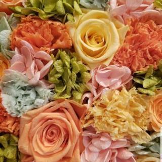 20代限定 女の子会 グループLINE🌹
