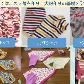 わんこ服手作り教室 Hapimo Shares®（ハピモシャレス...