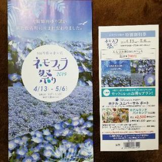 ネモフィラ祭り 特別割引券 