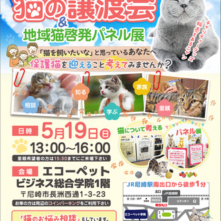 尼崎市どうぶつ愛護推進員◇ねこの譲渡会&ミニ地域猫パネル展(=^...