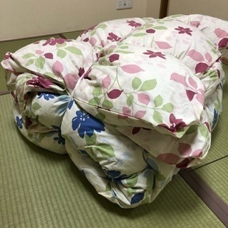 羽毛ぶとん 夫婦布団 2枚組 未使用新品の画像