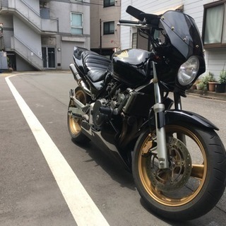 ホーネット 250